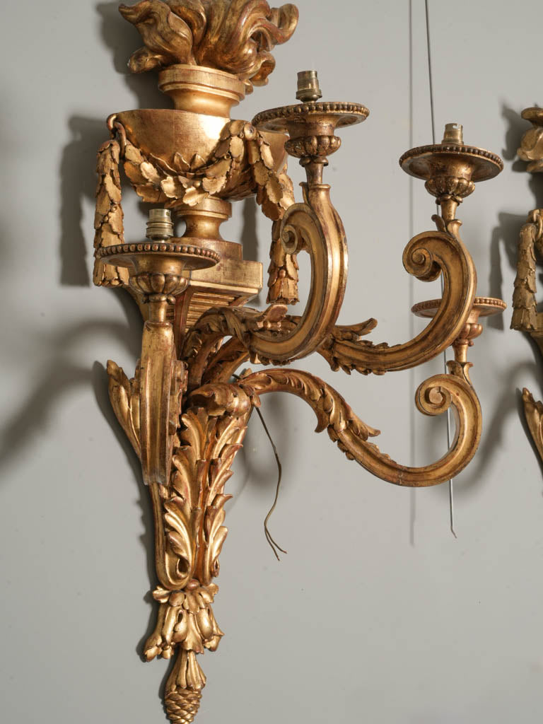 Striking Pair of Monumental 19th-Century French Giltwood Wall Sconces - 41¼" x 29¼"