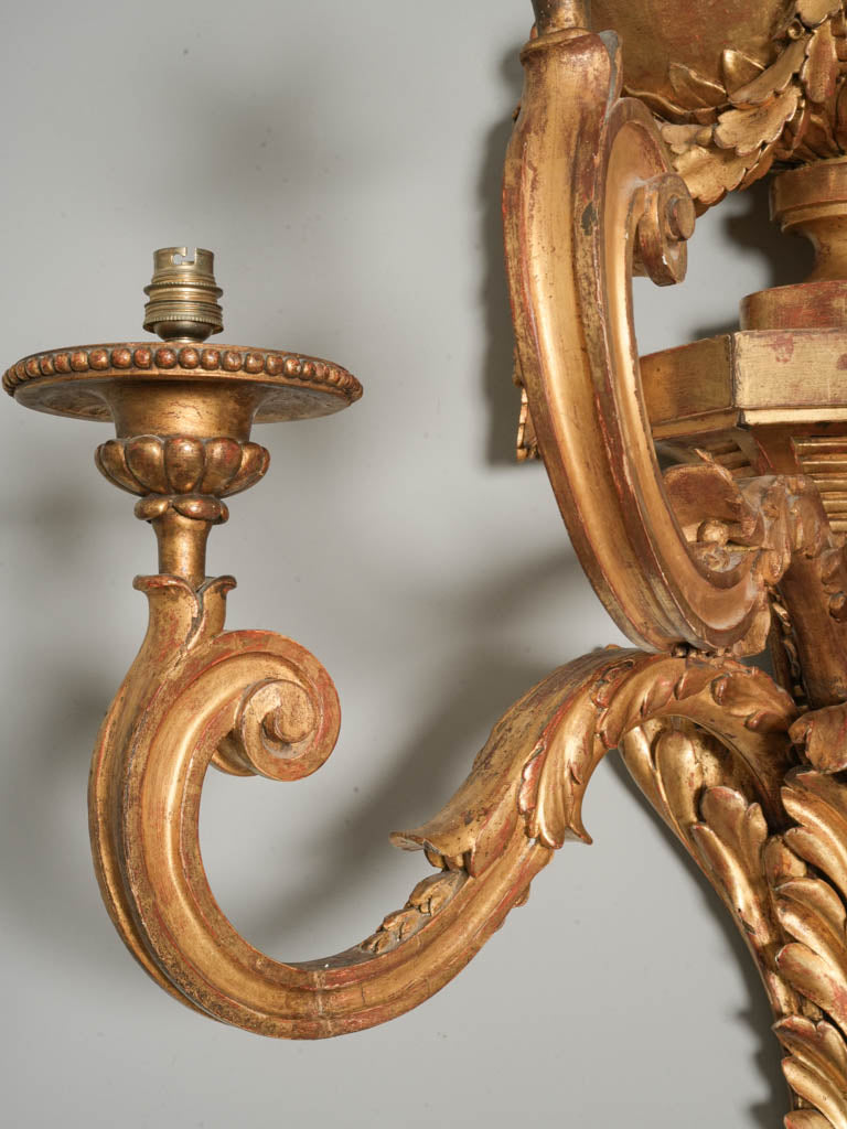 Striking Pair of Monumental 19th-Century French Giltwood Wall Sconces - 41¼" x 29¼"