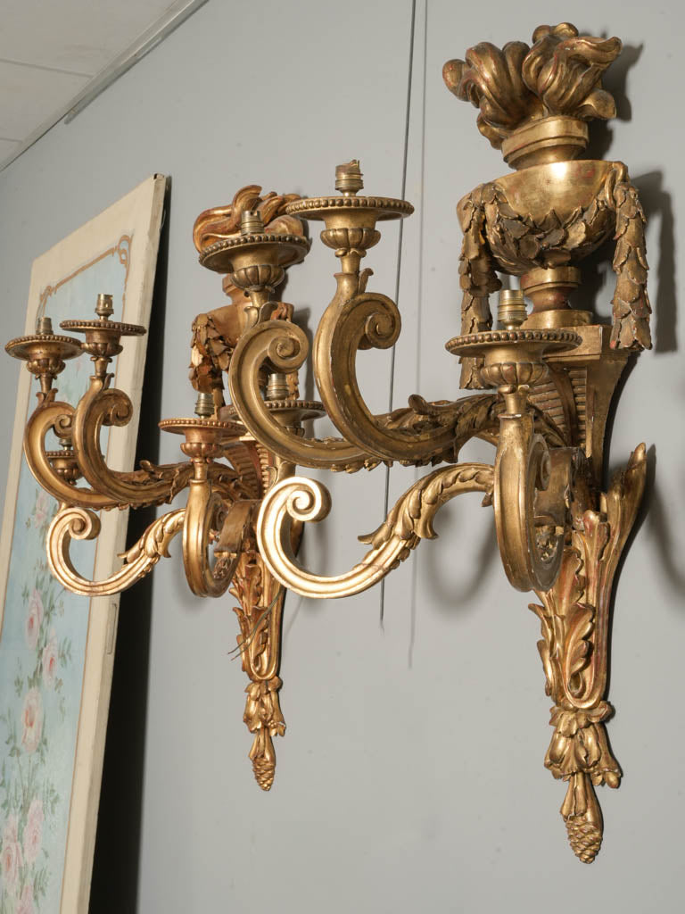 Striking Pair of Monumental 19th-Century French Giltwood Wall Sconces - 41¼" x 29¼"