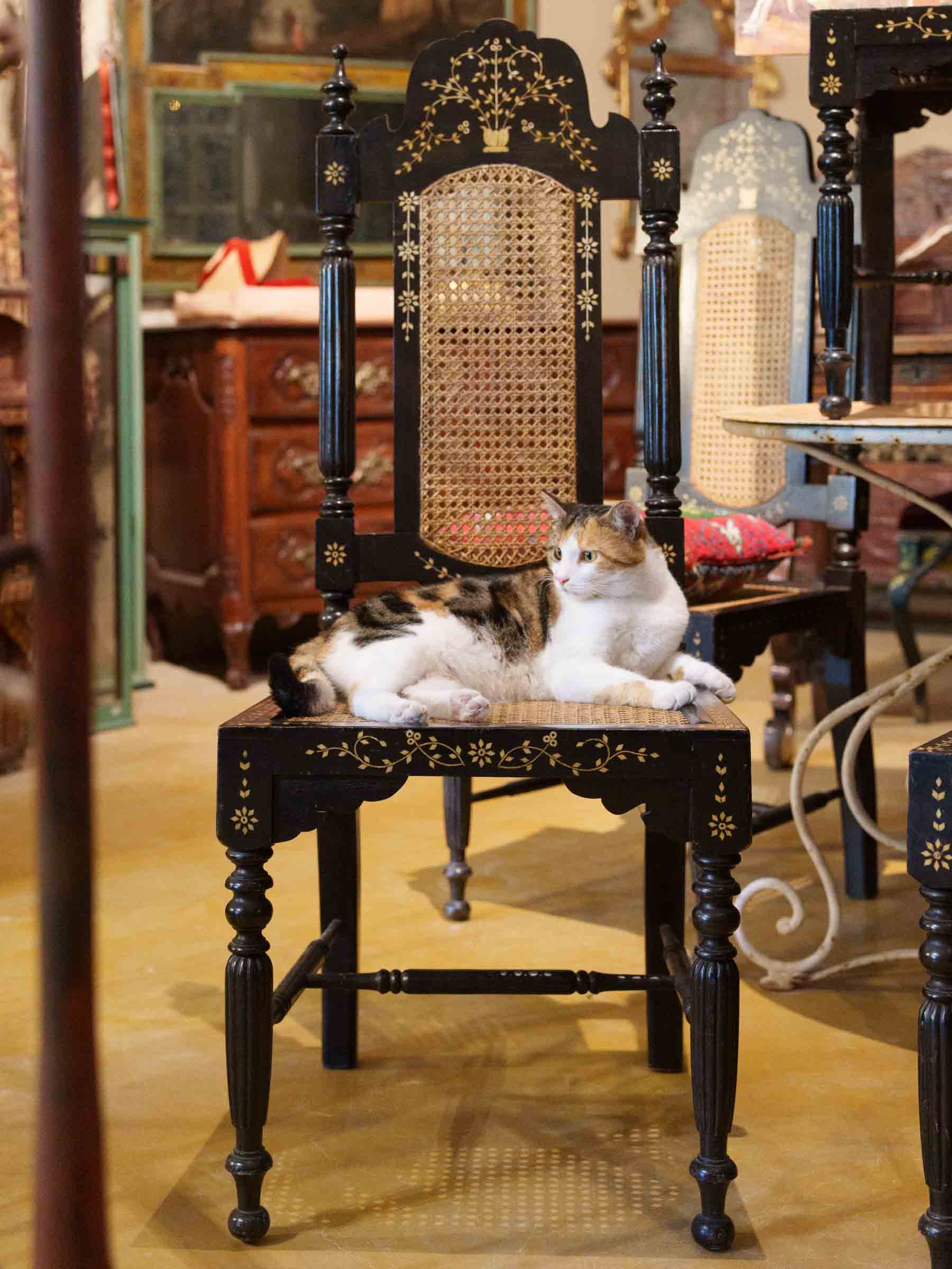 Set of Six Indo-Portuguese Ebonized Wood and Inlaid Cane Chairs, circa 1900