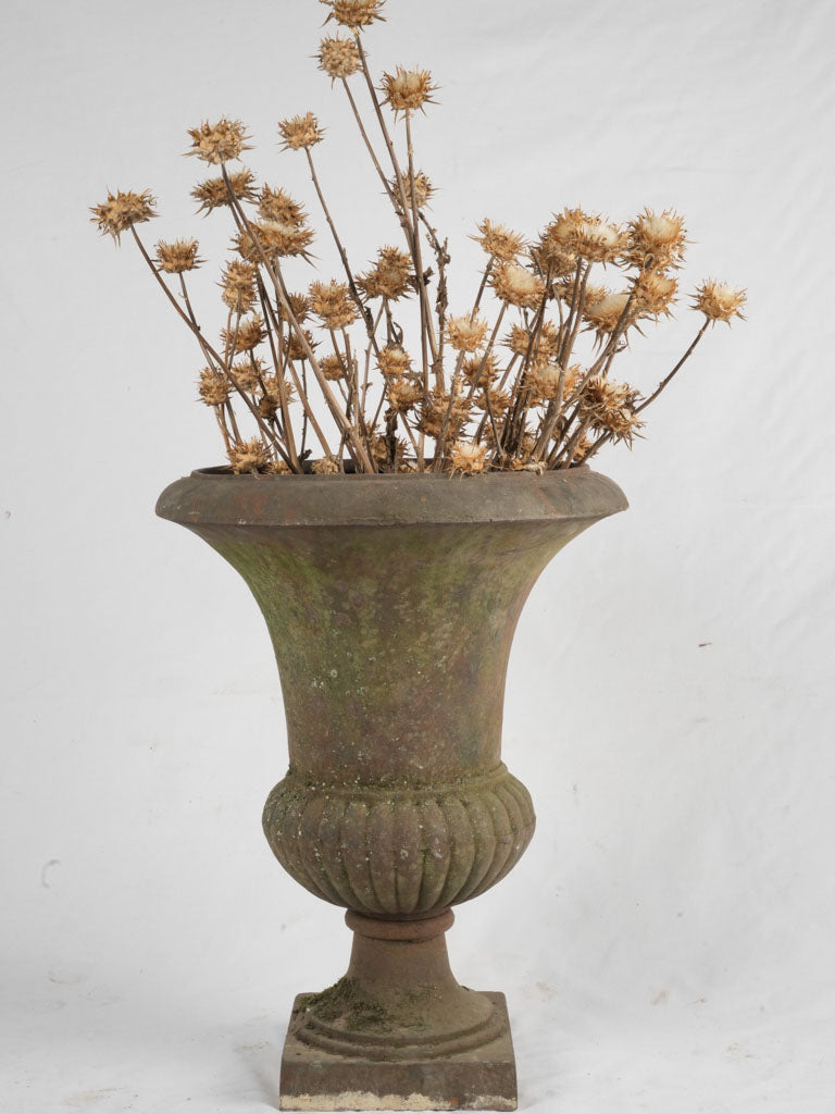Classic brown patina Medici urn