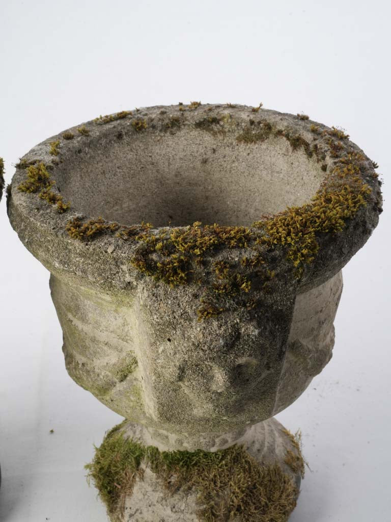 Moss-embraced stone jardinière