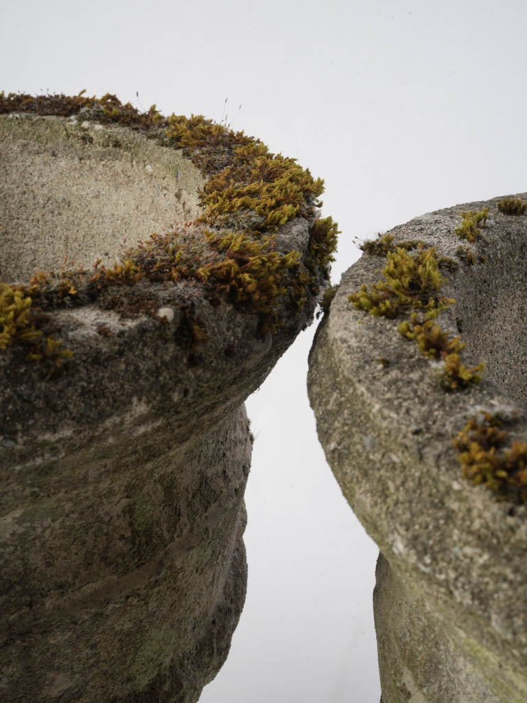 Textured lichen-clad planter