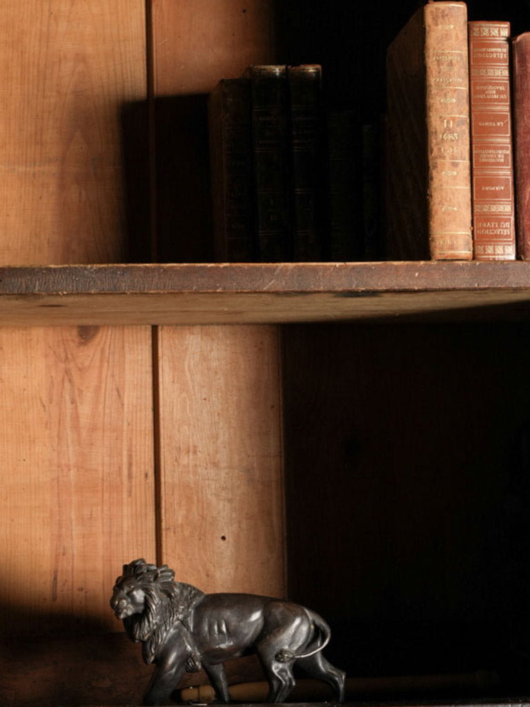 Rustic Antique Italian Chest