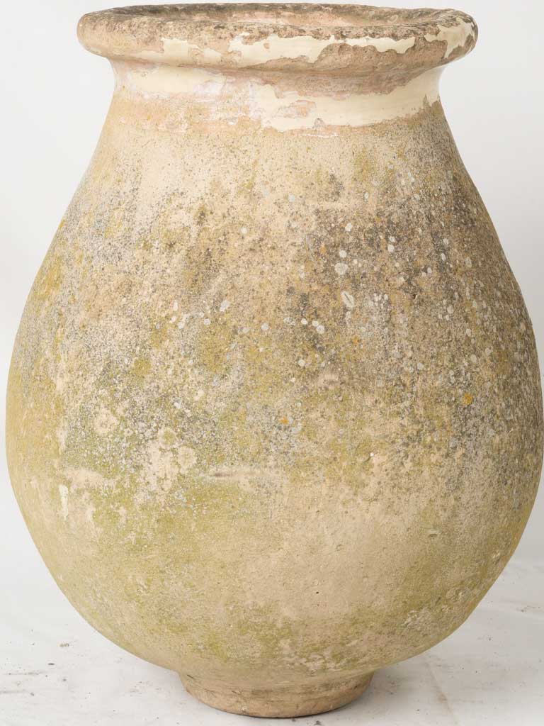 Aged, Weathered, Crafted Biot Olive Jar