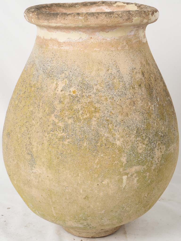Aged, Provençal, Subtle Biot Olive Jar