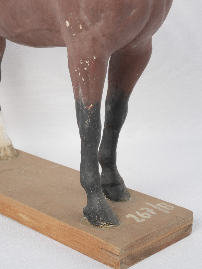 Timeless early 1900s equine decor