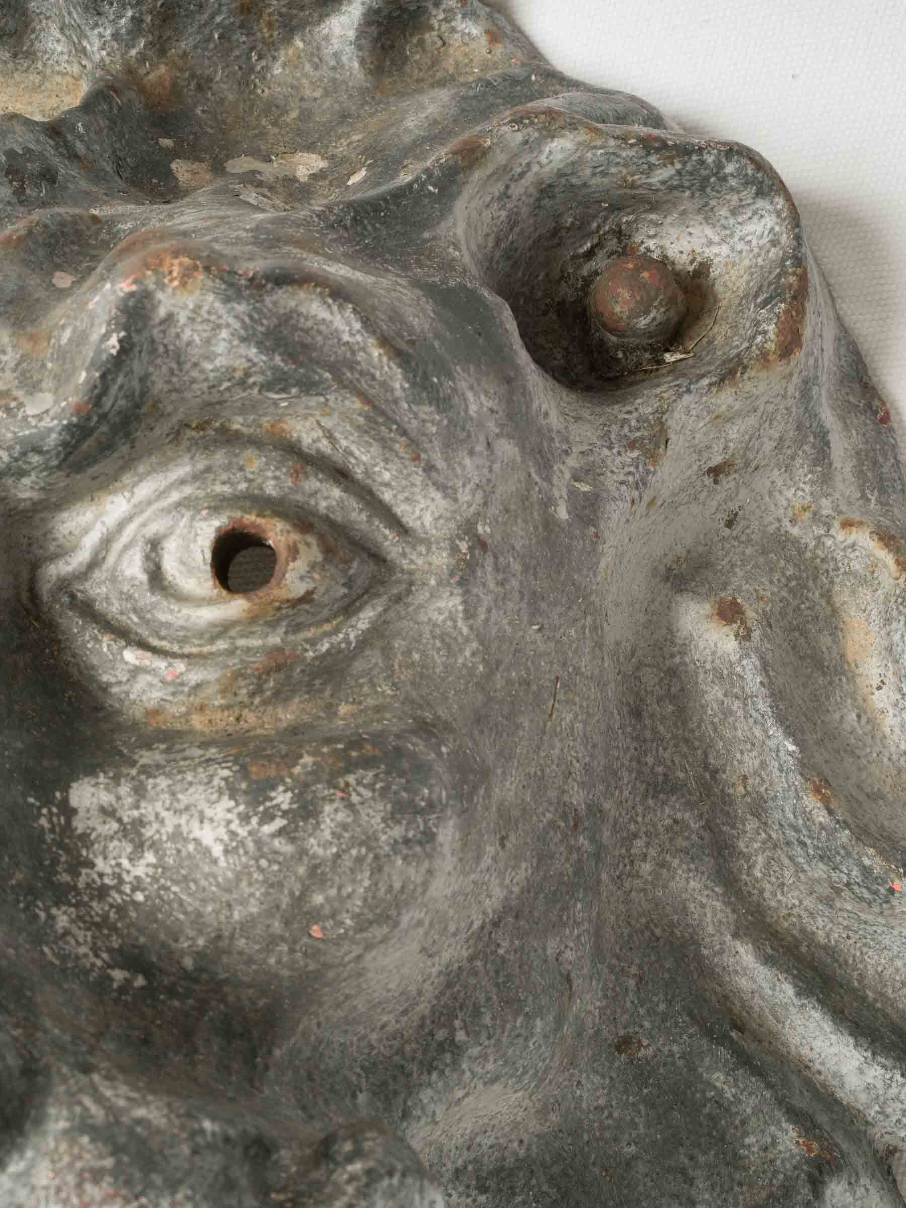 Expressive 19th-Century Cast Iron Lion Fountain Spout - 16½"