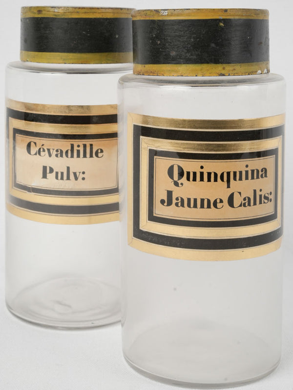 Pair of clear antique French apothecary jars - labeled 9½"