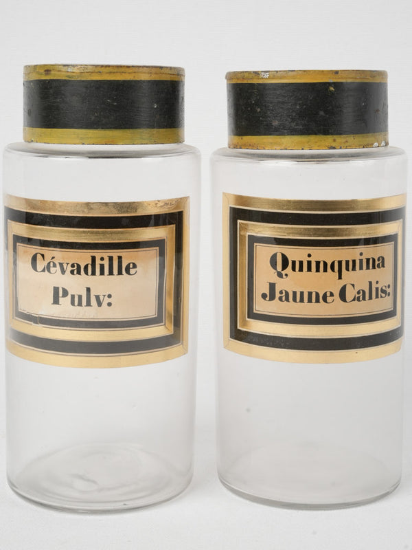 Pair of clear antique French apothecary jars - labeled 9½"