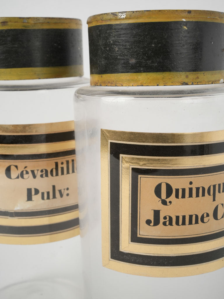 Ornate gilded antique French apothecary jar