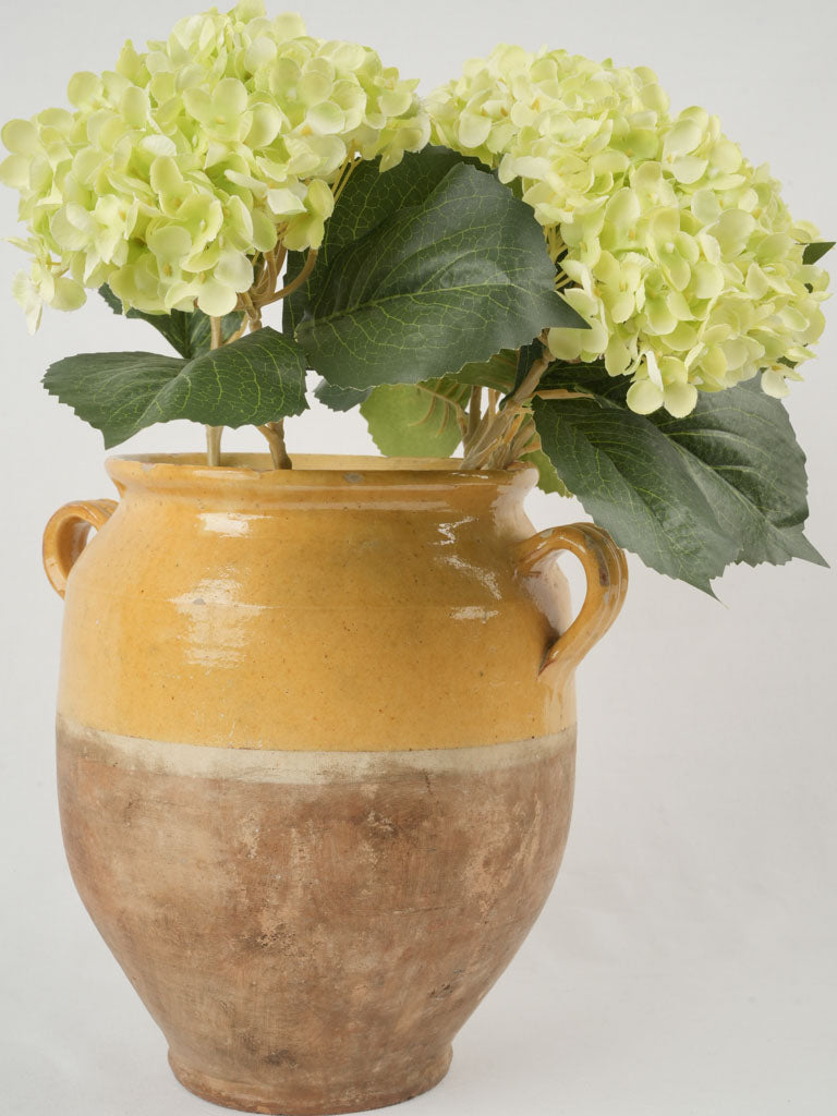 Aged, vintage, glazed ceramic confit pot
