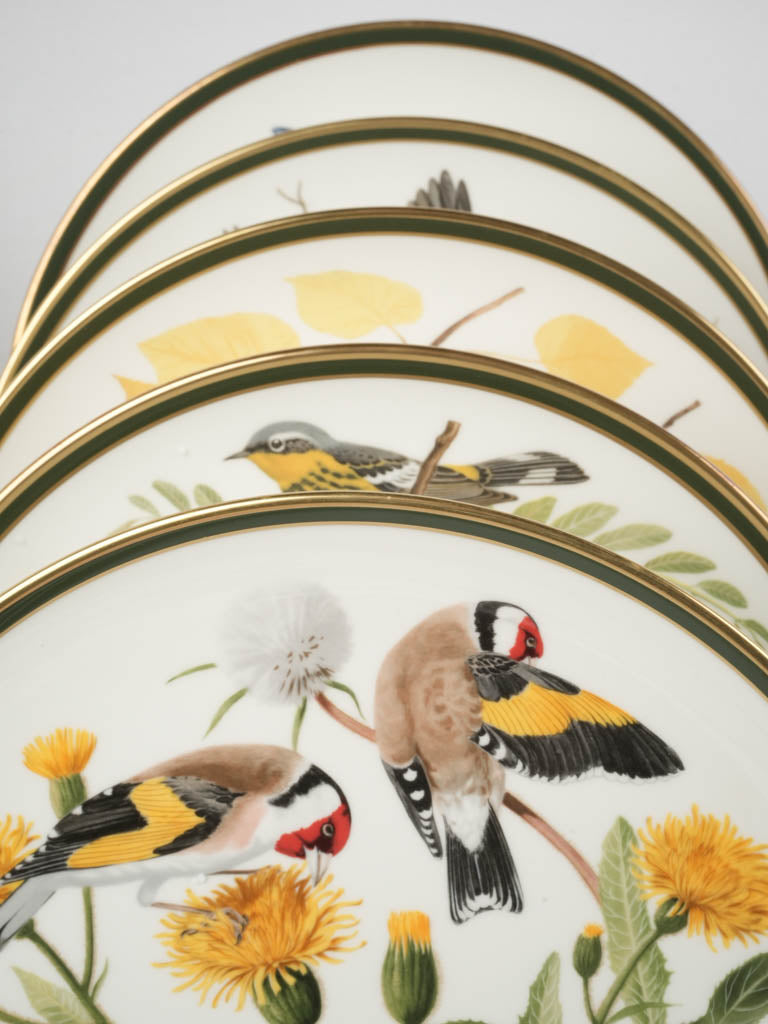 Delicate porcelain plates featuring world's songbirds