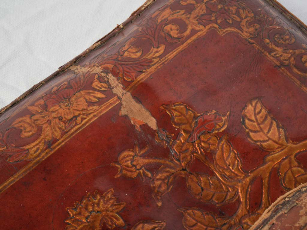 Historical travel-inspired leather cushions