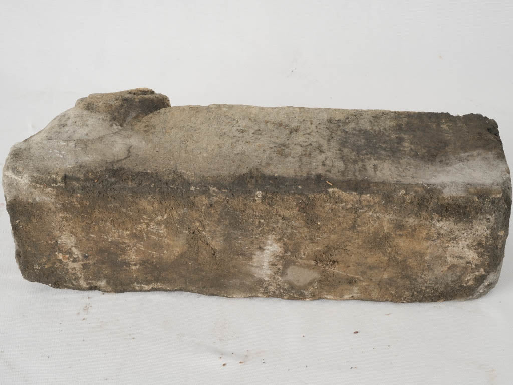 Distinctive cat-face stone planter array