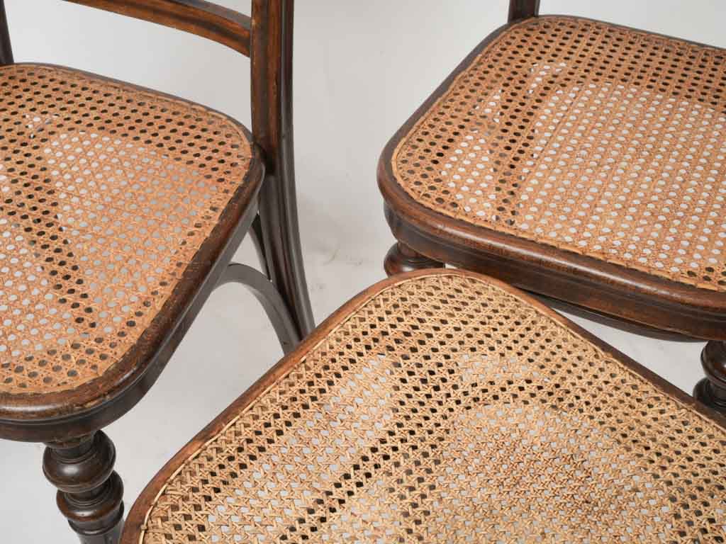 Collectible Thonet bentwood furniture