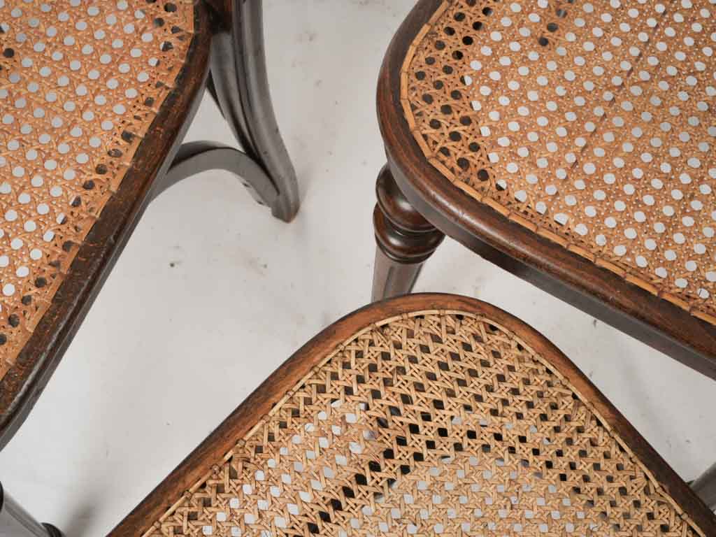 Sophisticated 19th-century Thonet relics