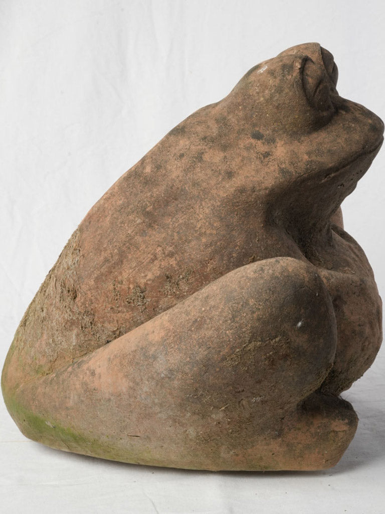 Elegant earthy coloration terracotta planter