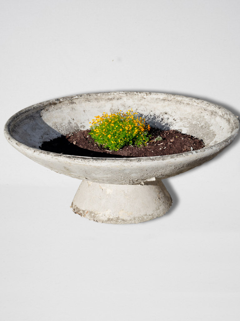 Medium Willy Guhl flying saucer planter 18½