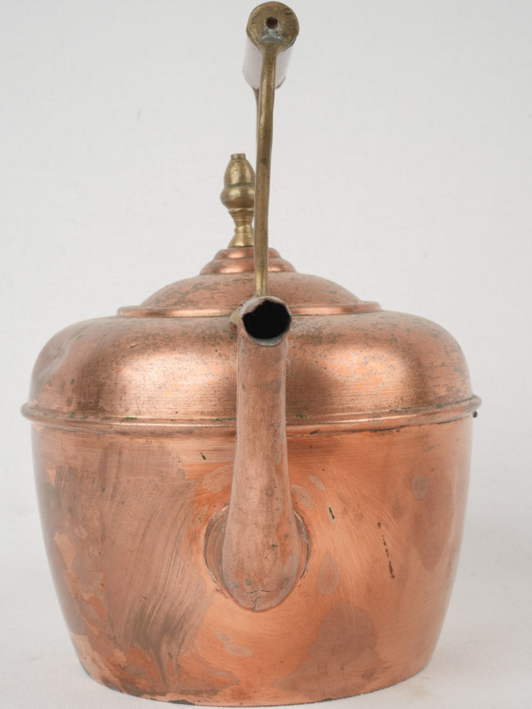 Vintage brass-accented tea kettle