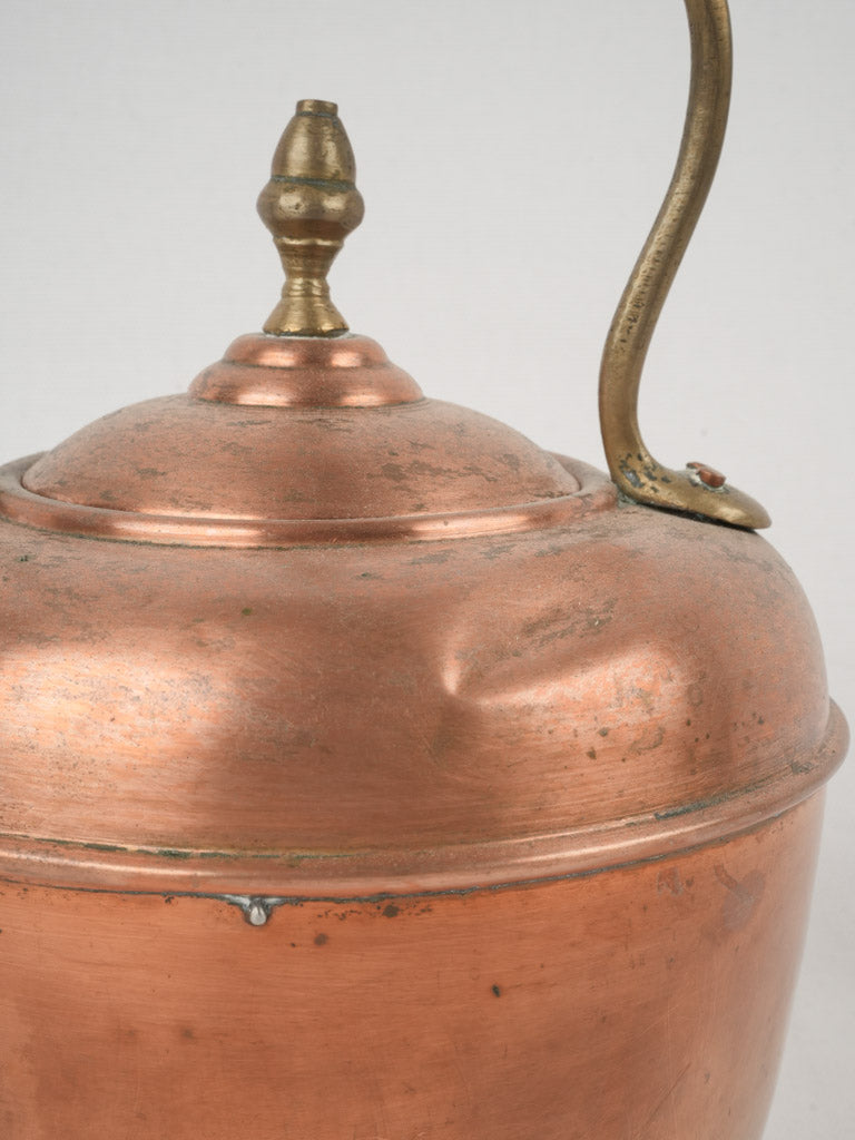 Characterful traditional hot water pot