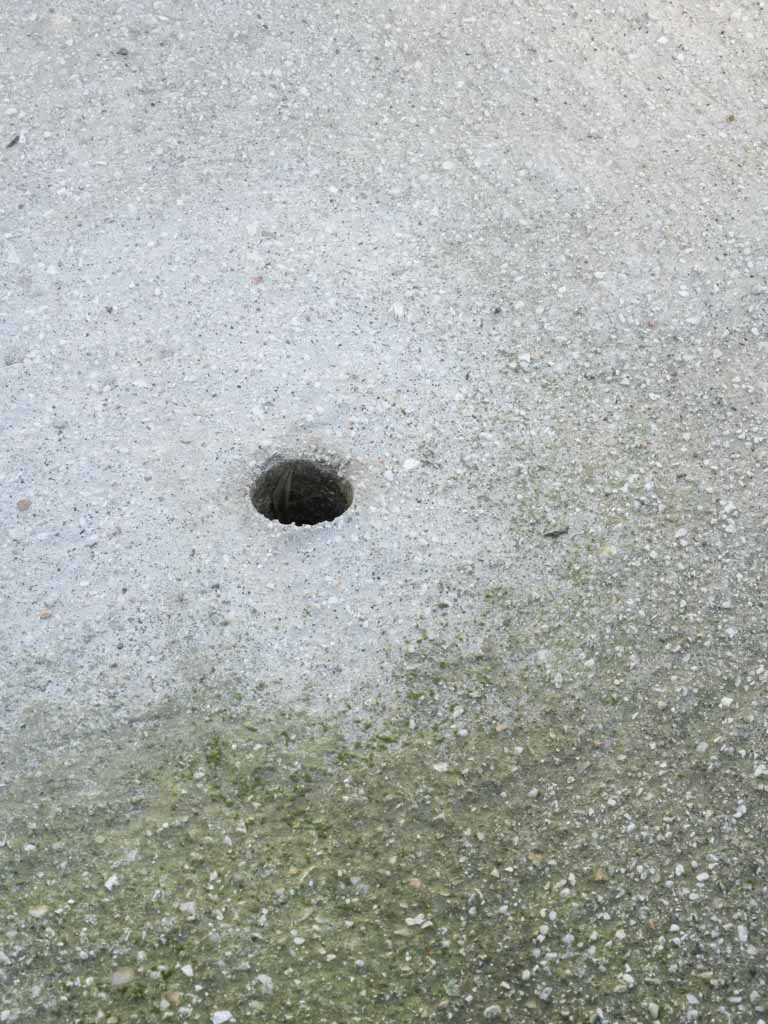 Aesthetic gadrooned edge stone urns