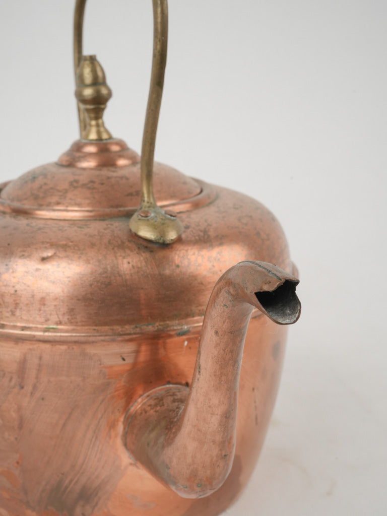 Stylish brass-handled copper teapot