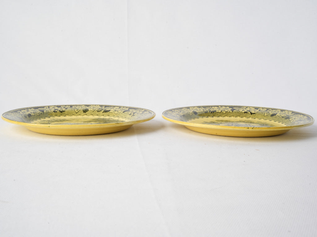Rustic harmonious French faience plates