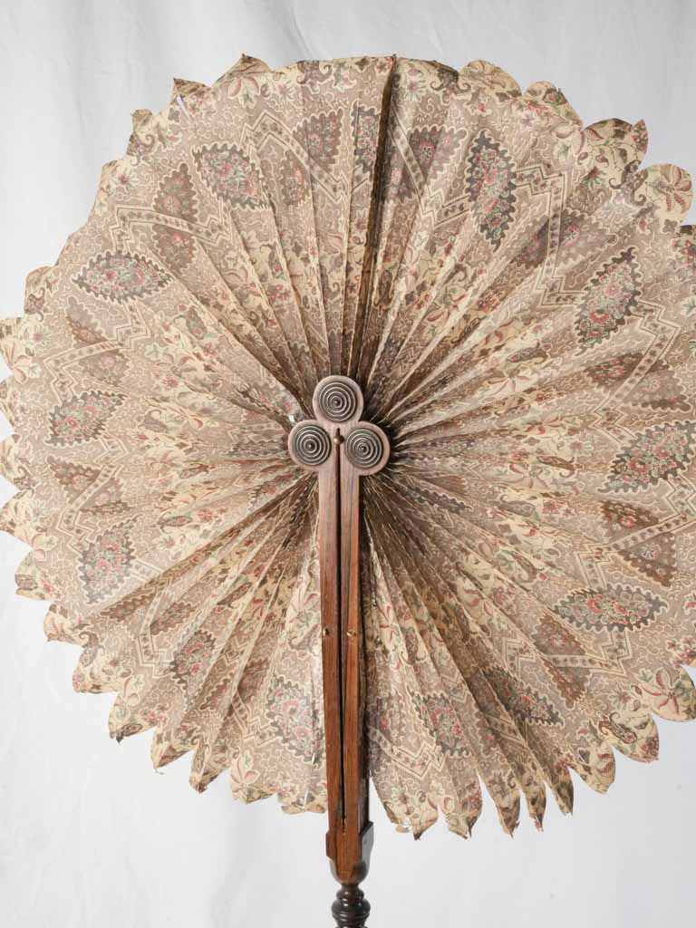 Unique paisley patterned screen