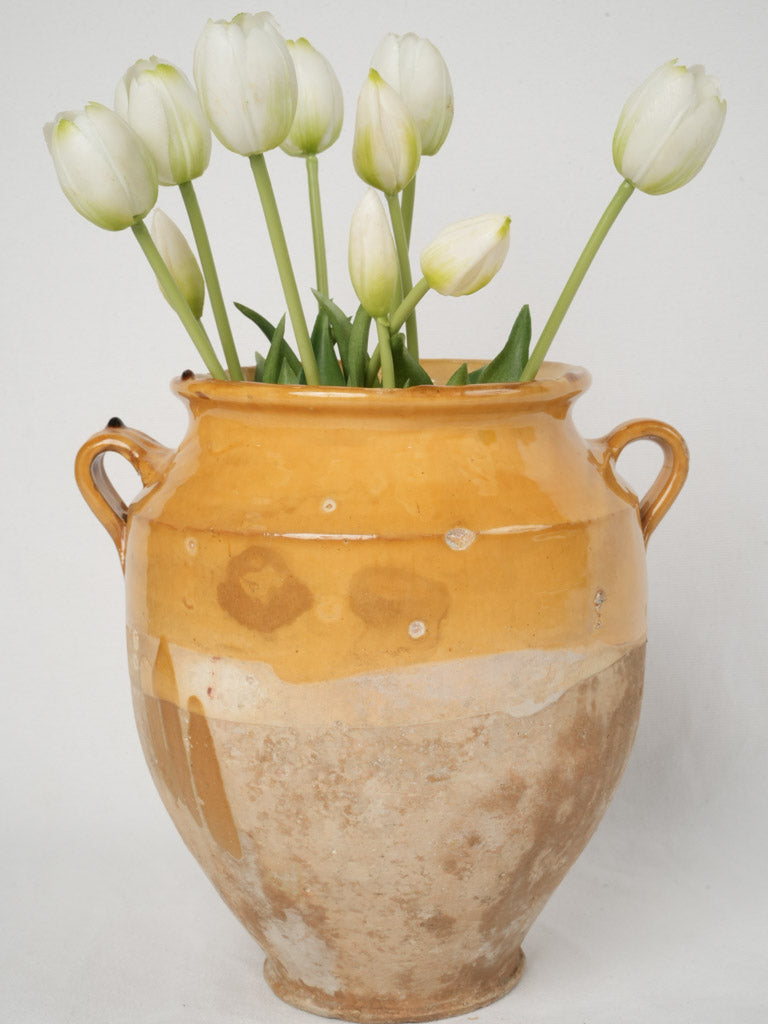 Rustic traditional clay confit jar