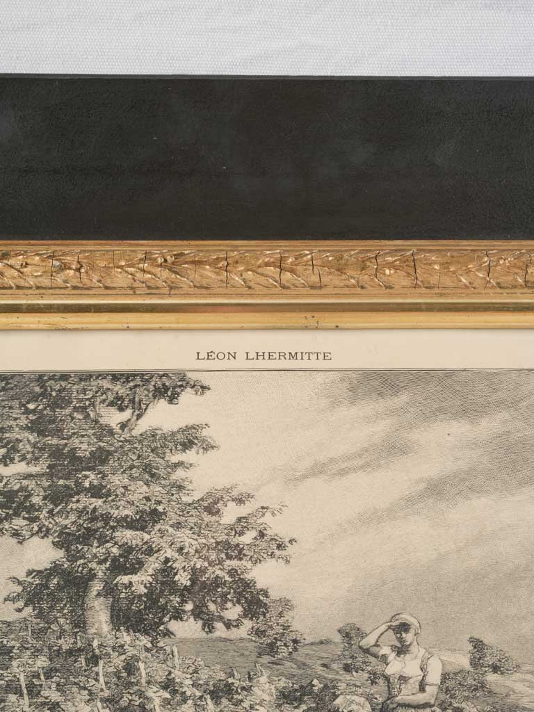 Realist style vintage engraving