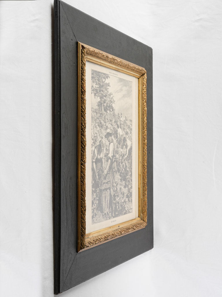 Detailed monochrome vineyard etching