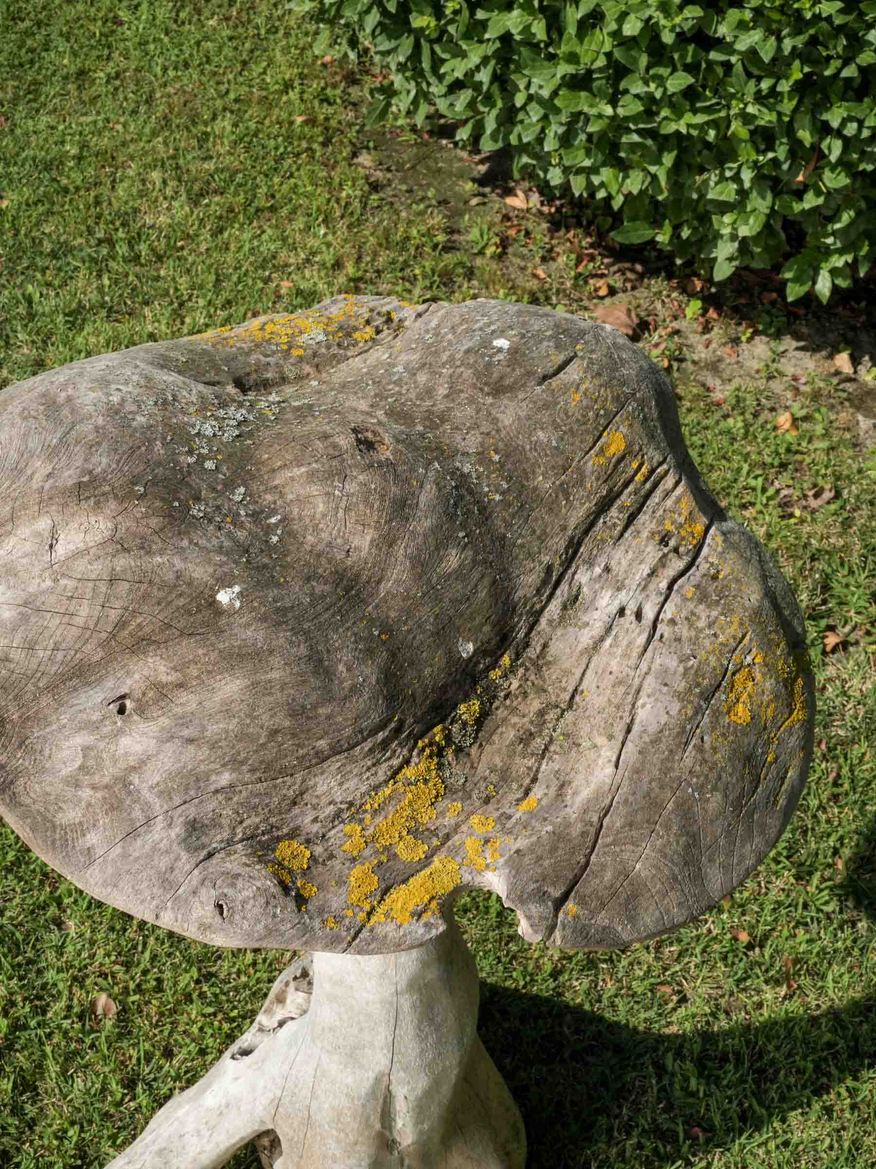Set of Four Tall Whimsical Wooden Garden Mushrooms