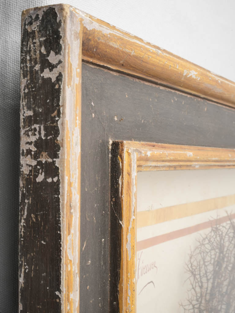 Poetic Mid-20th-Century Italian Marine Composition - 40¼" x 29½"