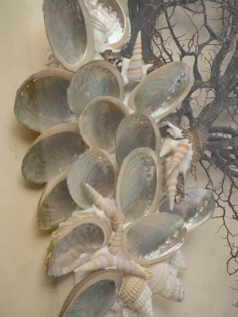 Poetic Mid-20th-Century Italian Marine Composition - 40¼" x 29½"