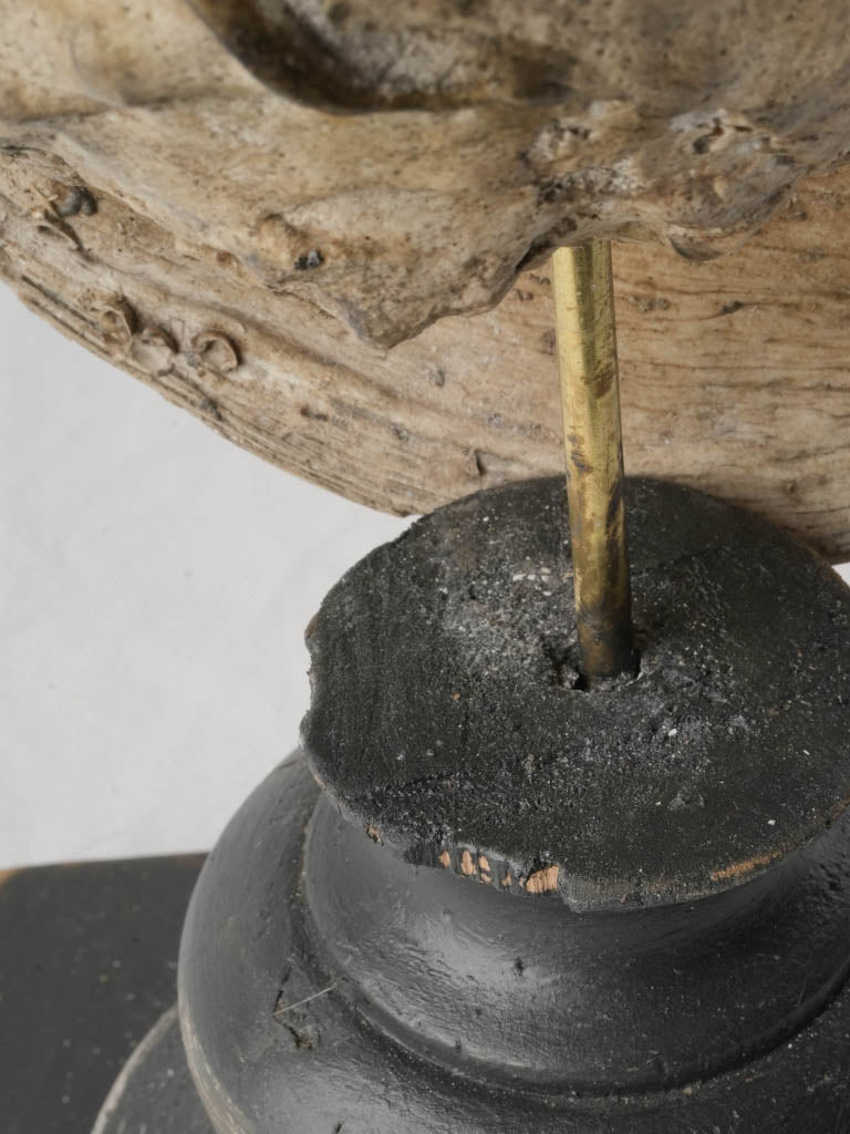 Sculptural maritime curiosity display piece