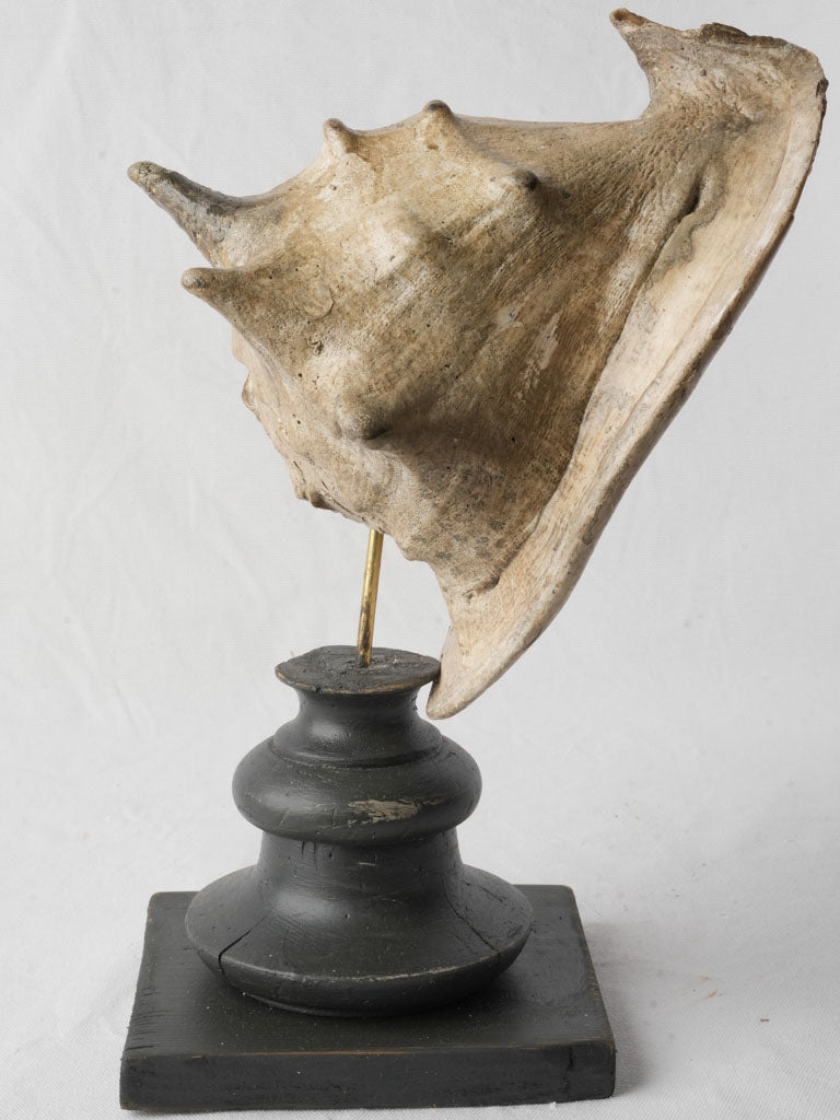 Vintage natural shell decor item