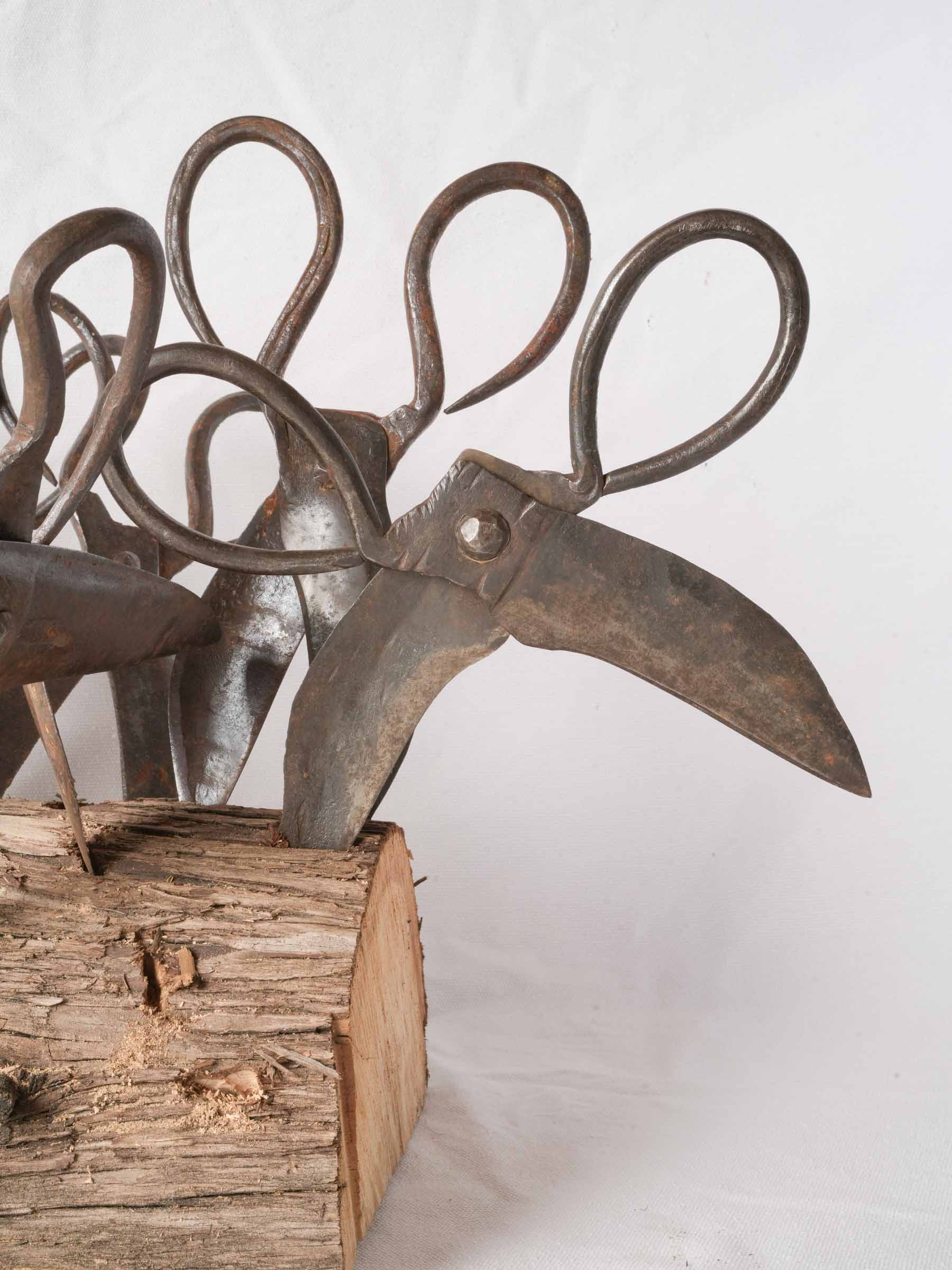 Set of Twelve Antique French Forged-Iron Sheep Shears - 11"