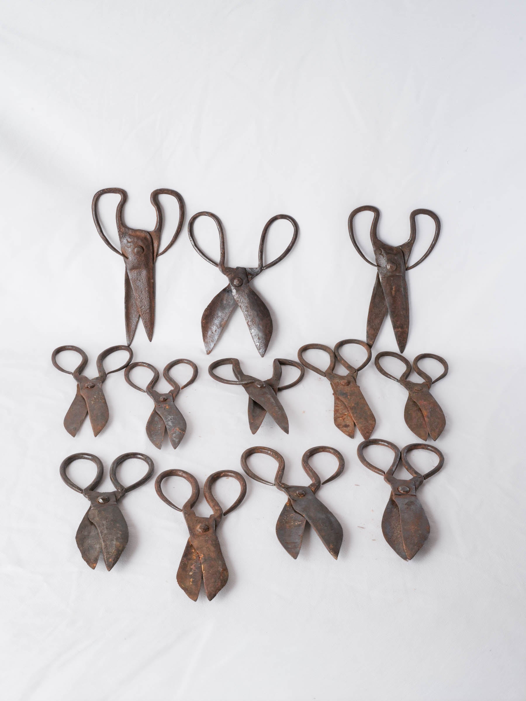Set of Twelve Antique French Forged-Iron Sheep Shears - 11"