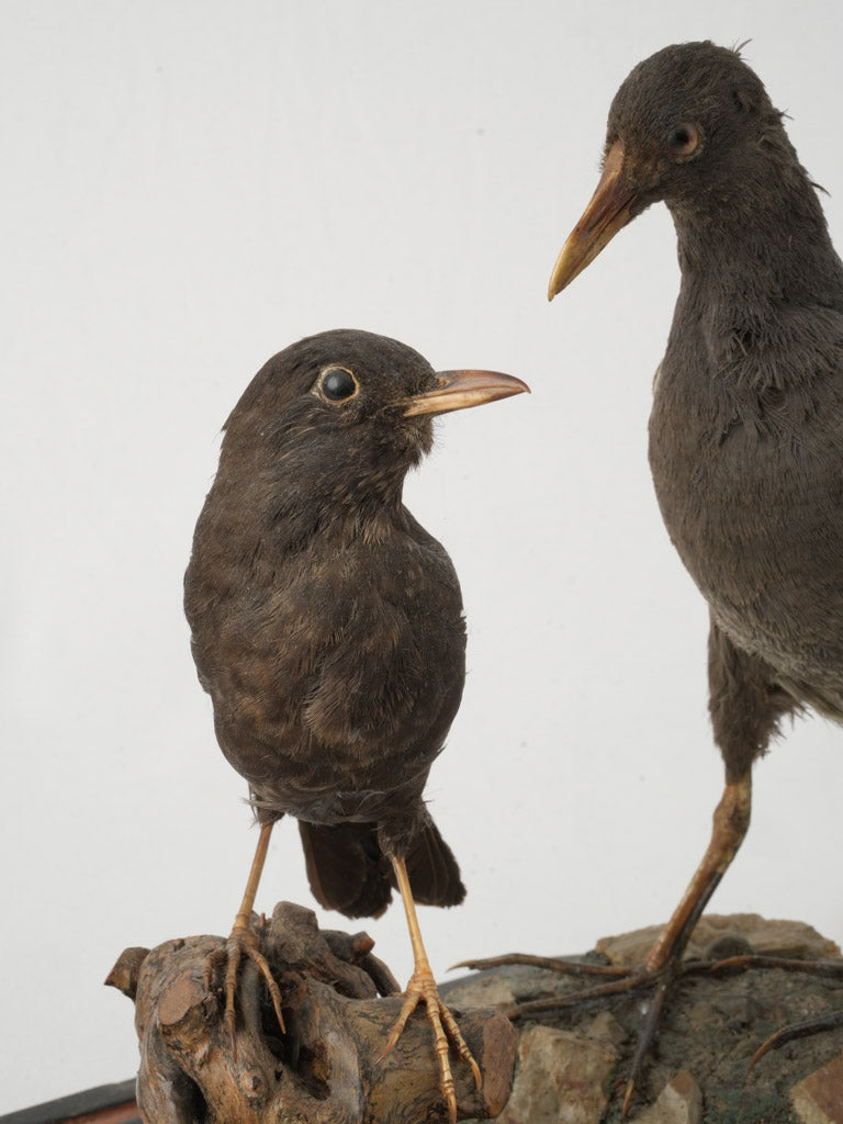 Dark wooden base feature