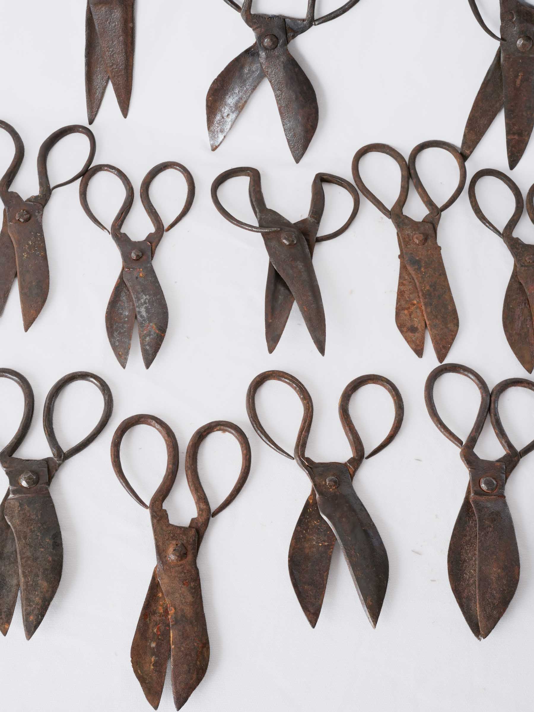 Set of Twelve Antique French Forged-Iron Sheep Shears - 11"