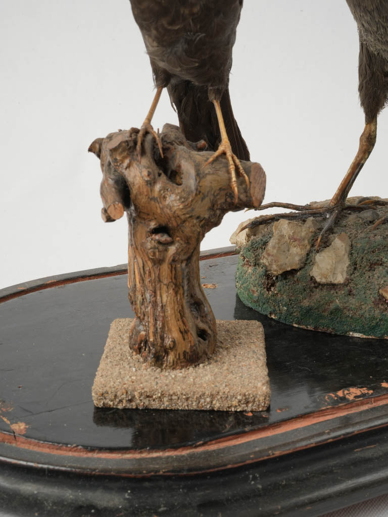 Classic conversation-starting curiosity