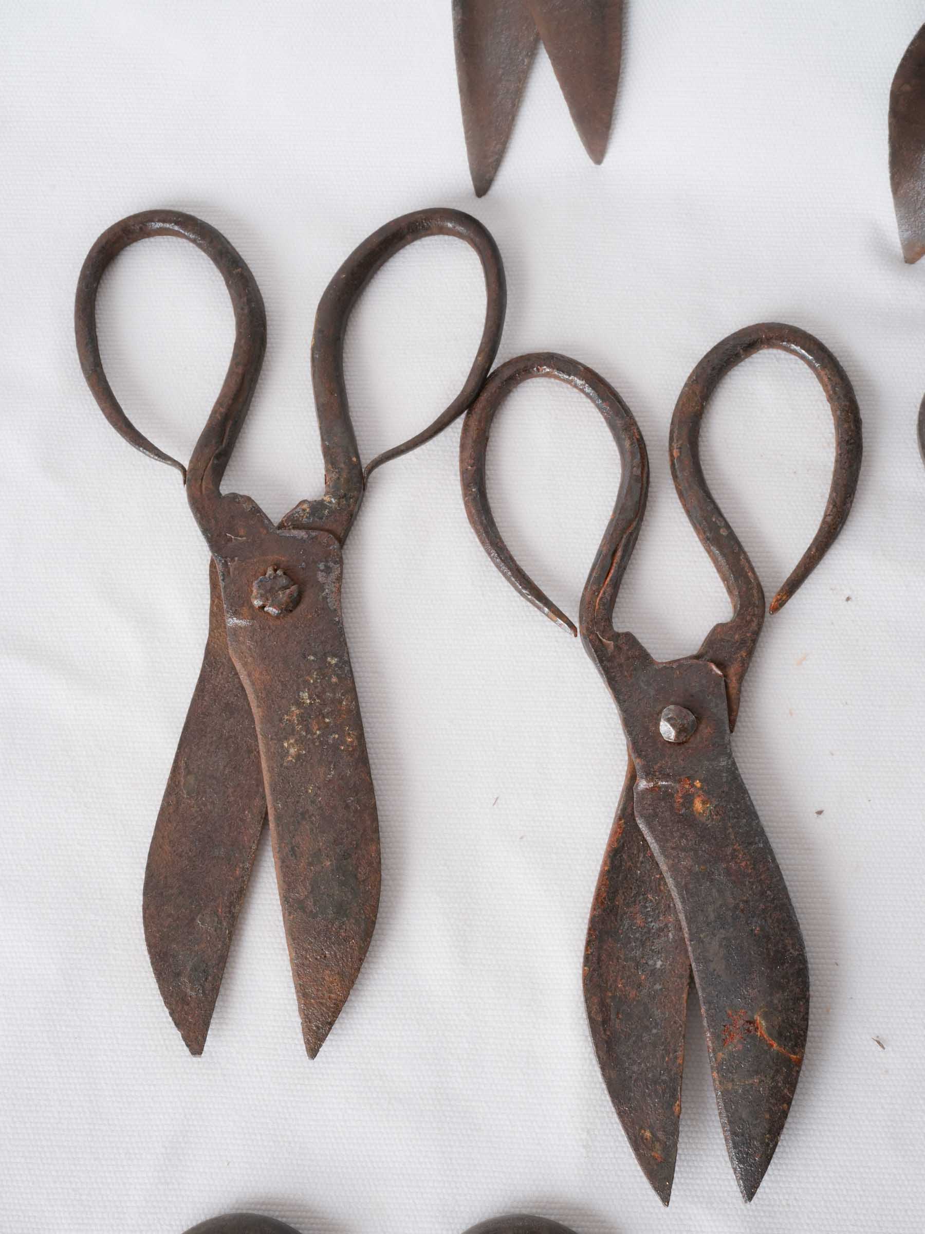 Set of Twelve Antique French Forged-Iron Sheep Shears - 11"