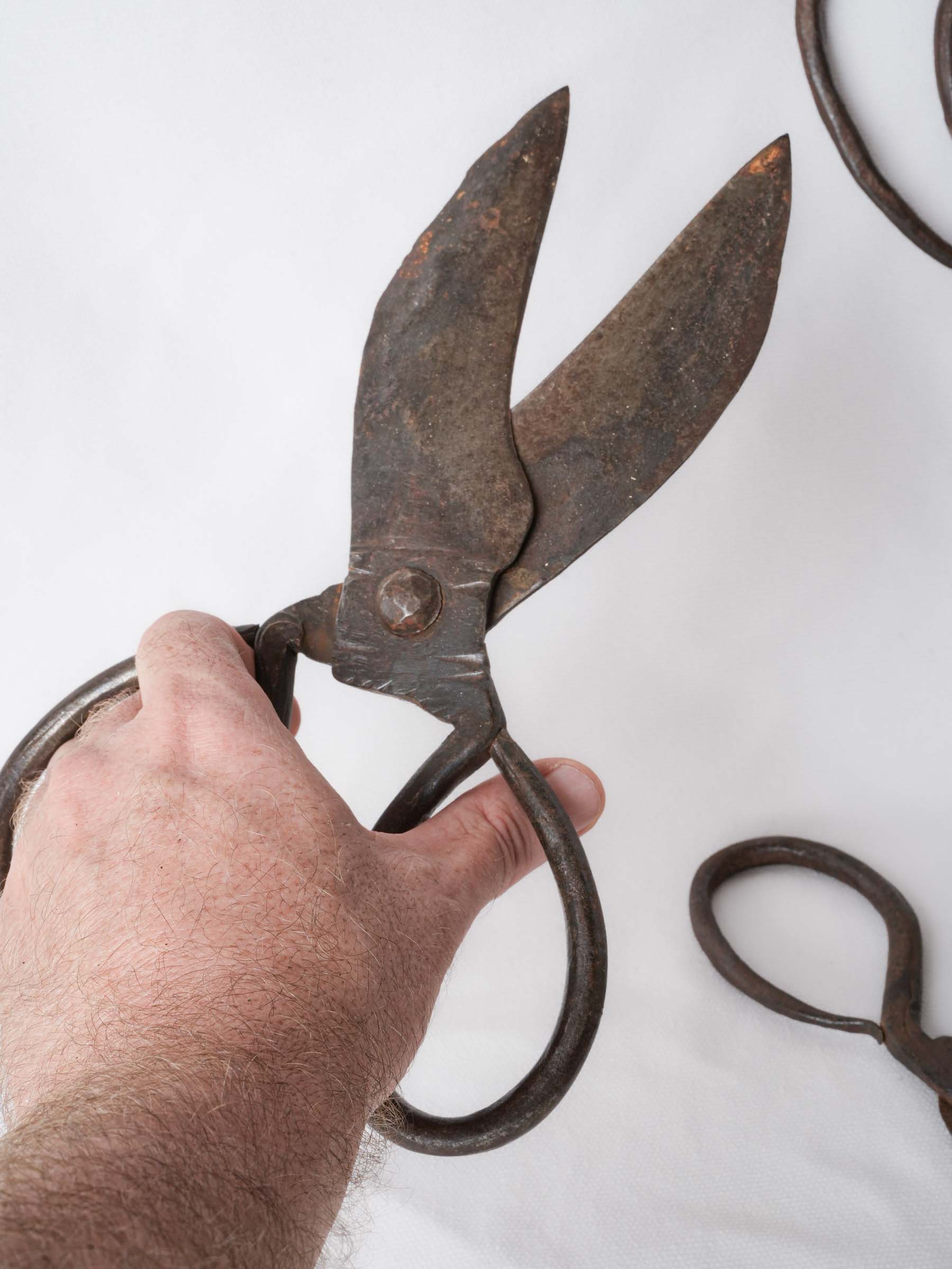 Set of Twelve Antique French Forged-Iron Sheep Shears - 11"