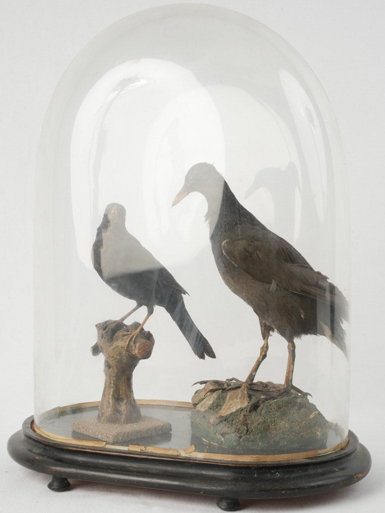 Intriguing eclectic interior accessory