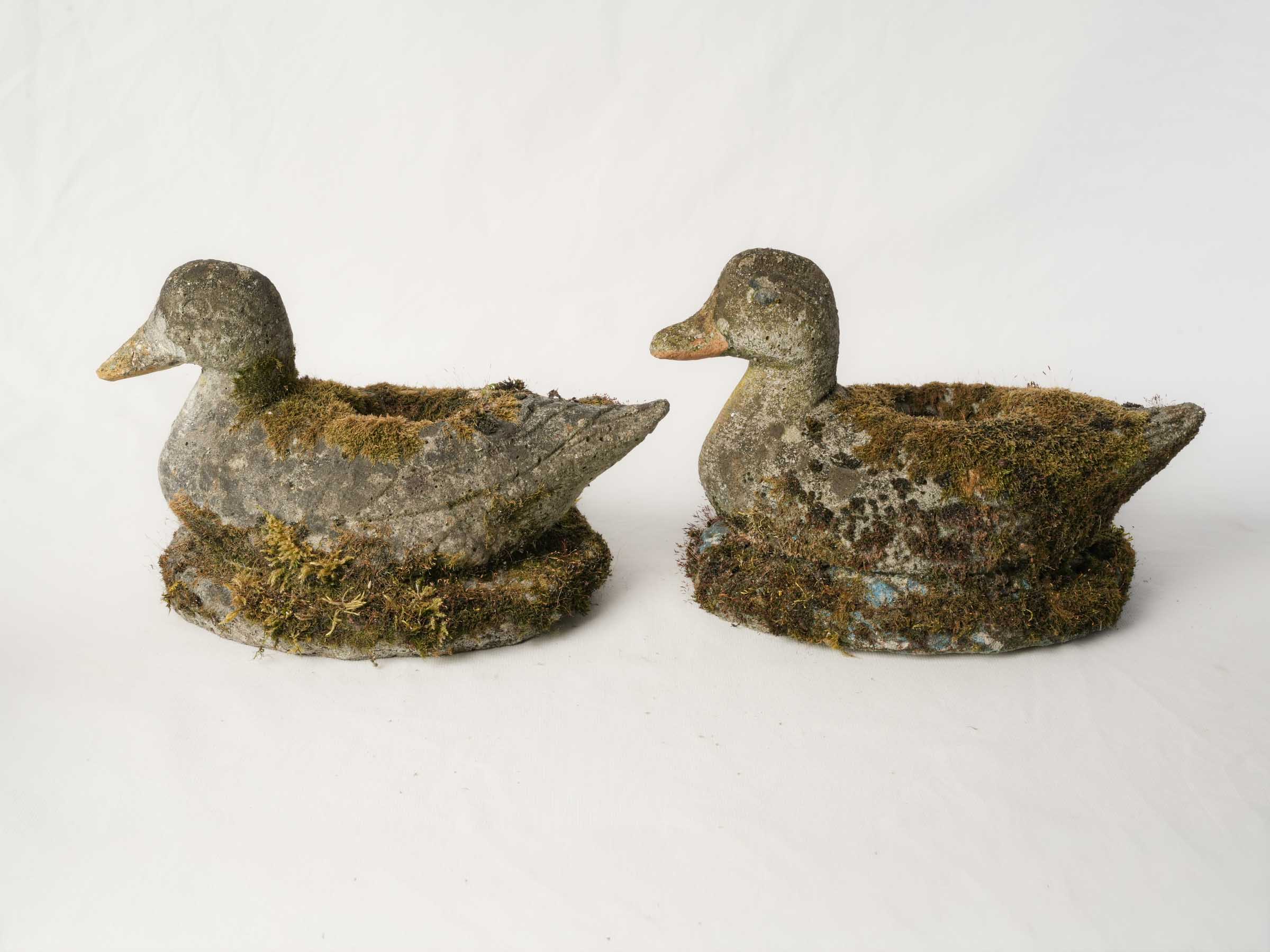Pair of French Concrete Garden Ducks w/ Superb Mossy Patina - 11¾"