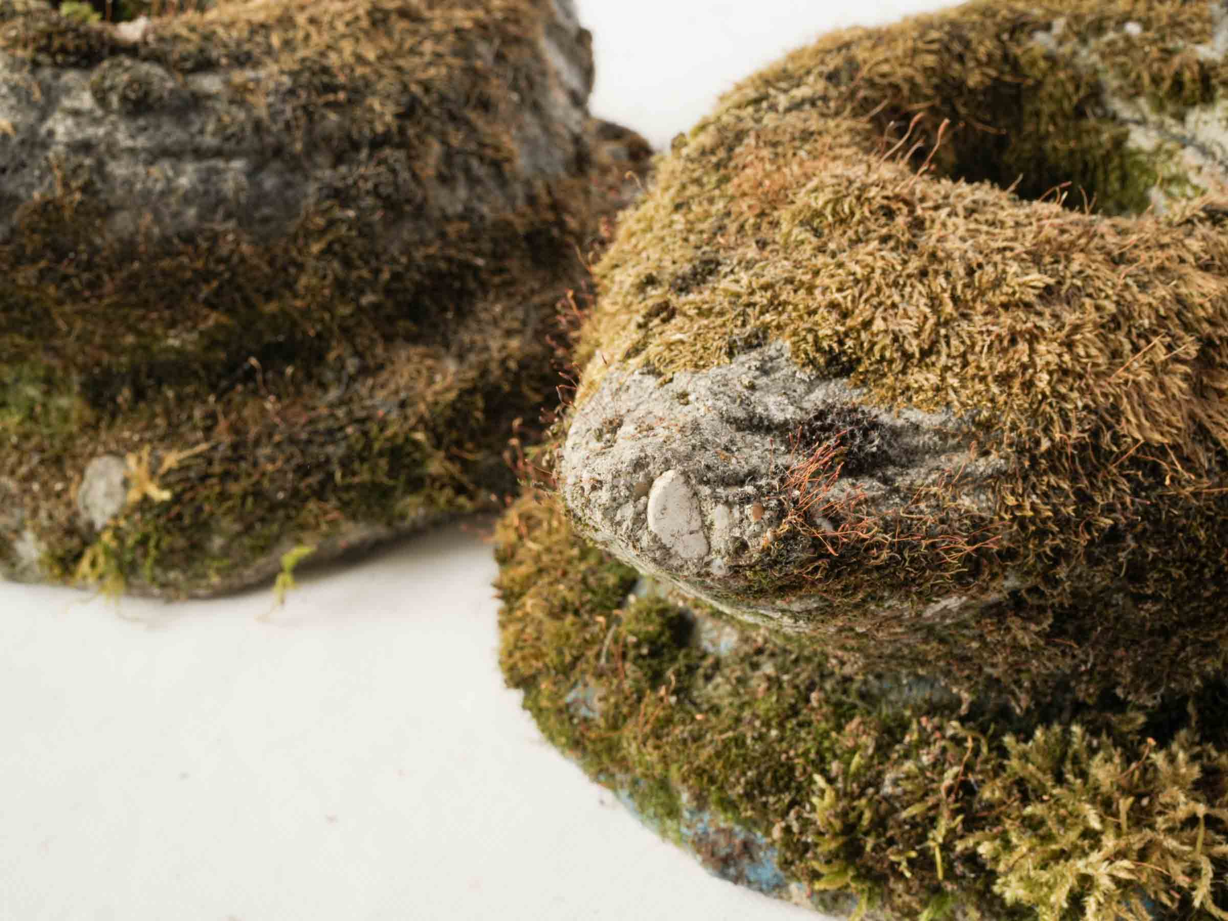 Pair of French Concrete Garden Ducks w/ Superb Mossy Patina - 11¾"
