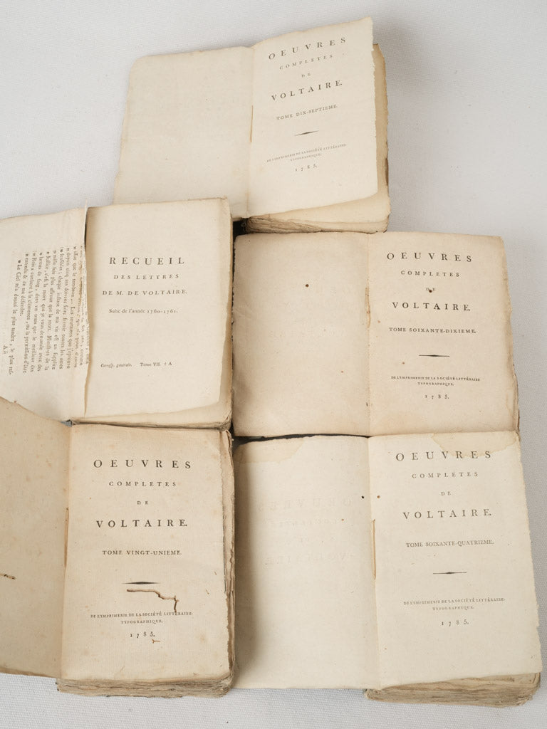Worn Rustic French Literature Set