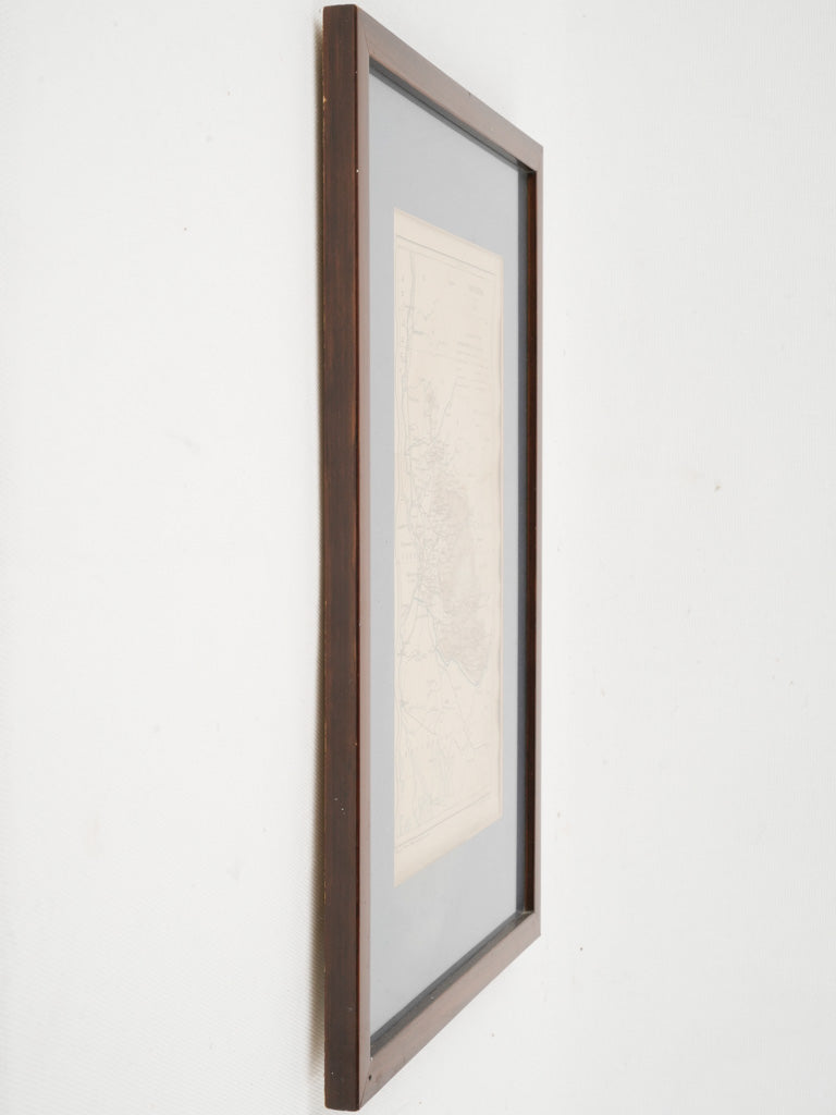 Aged Vaucluse Map Wall Decor