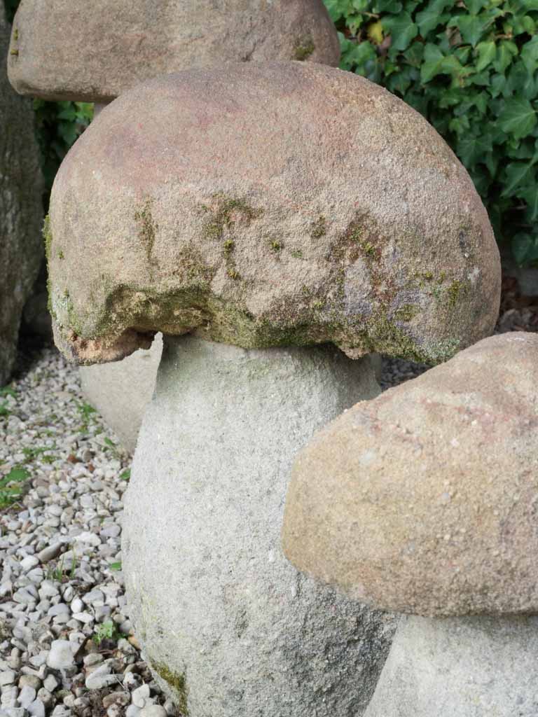 Provencal vintage stone mushroom collection